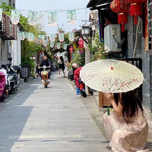 91视频网页免费版
