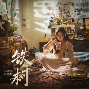 91视频网页免费版
