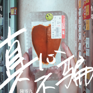 91视频网页免费版
