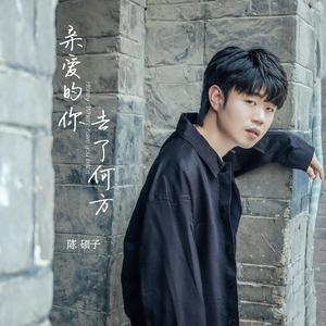 91视频网页免费版
