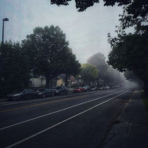 91视频网页免费版
