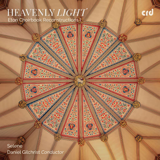 91视频网页免费版
